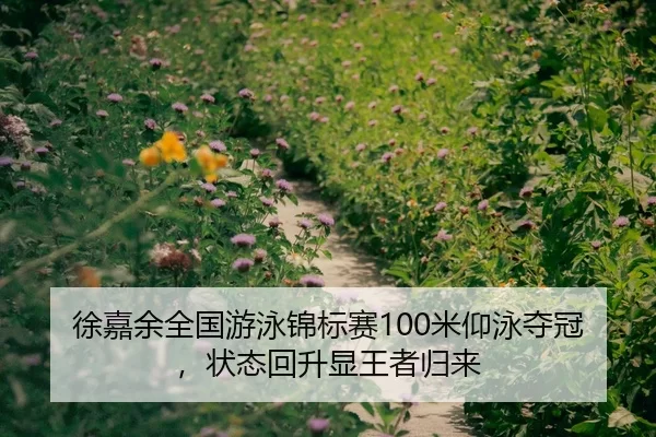 徐嘉余全国游泳锦标赛100米仰泳夺冠，状态回升显王者归来
