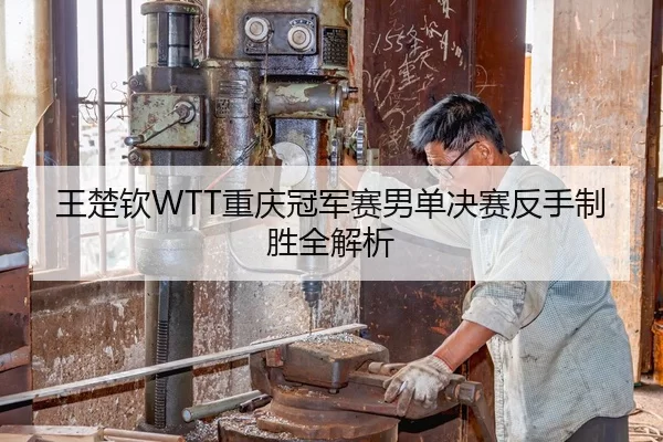 王楚钦WTT重庆冠军赛男单决赛反手制胜全解析