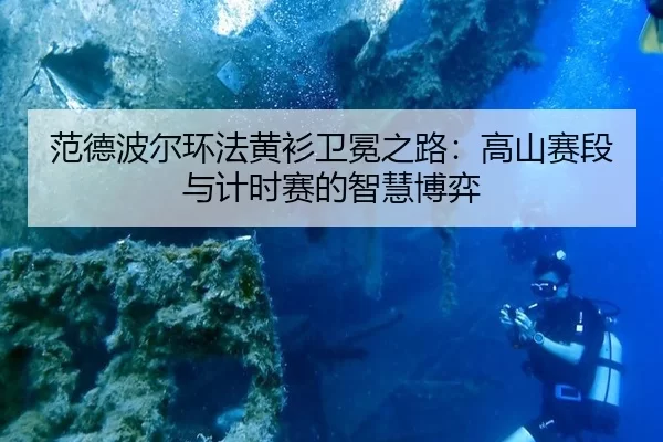 范德波尔环法黄衫卫冕之路：高山赛段与计时赛的智慧博弈
