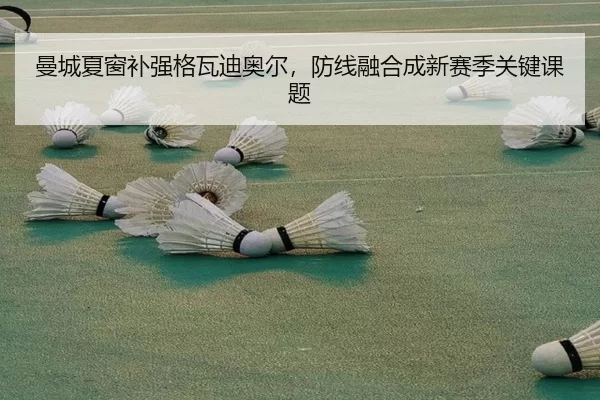 曼城夏窗补强格瓦迪奥尔，防线融合成新赛季关键课题