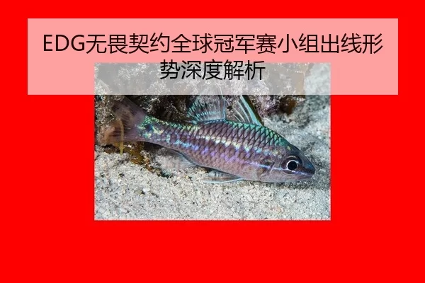wu-wei-qi-yue-quan-qiu-guan-jun-sai-xiao-zu-chu-xian-xing-shi-shen-du-jie-xi-2-474.jpg