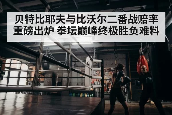 boxer training