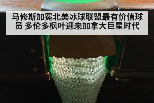 马修斯加冕北美冰球联盟最有价值球员 多伦多枫叶迎来加拿大巨星时代
